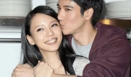 明星排行榜.王力宏老婆为什么要撕王力宏,揭秘老婆撕王力宏背后的真相
