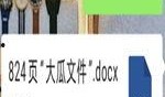 网红大瓜文件docx,一场关于娱乐圈的深度剖析